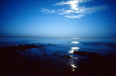Victor Diaz: "Low Tide by the Moonlight"
