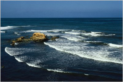 Victor Diaz: "No Birds on Bird Rock"