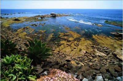 Victor Diaz: "Morning Low Tide"