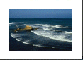 Victor Diaz: "No Birds on Bird Rock"