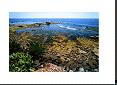 Victor Diaz: "Morning Low Tide"