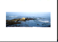 Victor Diaz: "Very Low Tide. Early Morning"