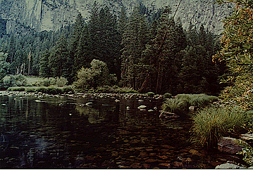 Howard Armstrong: "Yosemite River"