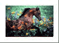 Horses by Robert Vavra
