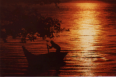 "Fisher in Chapala Lake"